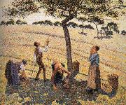 Apple picking Camille Pissarro